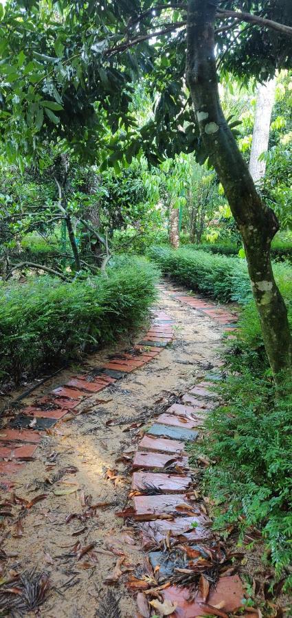 The Vintage Chikmagalur Διαμέρισμα Εξωτερικό φωτογραφία